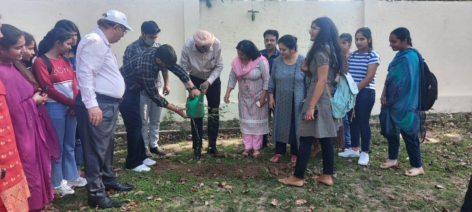 Tree Plantation activity